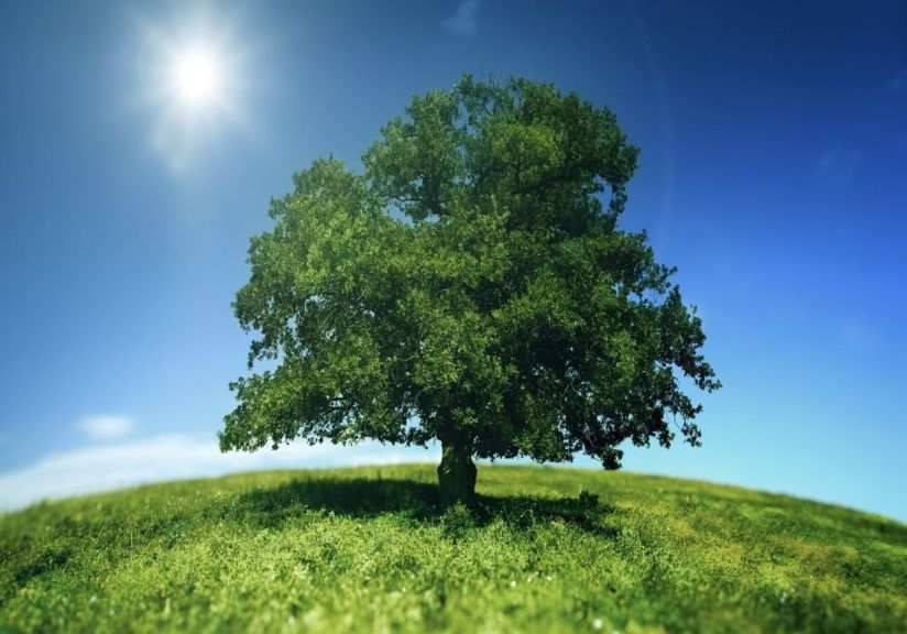 台湾での自閉症・発達障害の治療